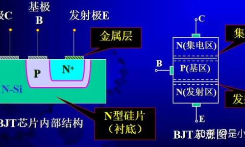 脸上长痘痘了吃什么水果好-脸上长痘痘了吃什么网 :分享脸上长痘痘了吃什么药-脸上长痘痘了吃什么草药知识